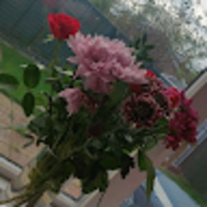 Meet your Posher, Chloe